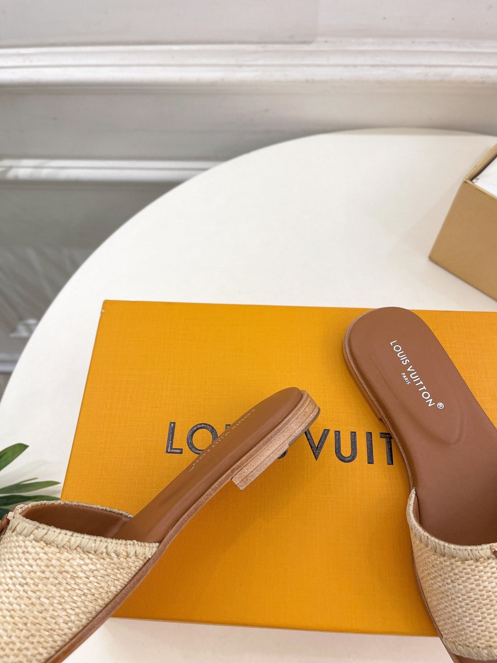LOUIS VUITTON LV WOMEN CAPRI FLAT MULES IN CHOCOLATE BROWN LEATHER AND RAFFIA